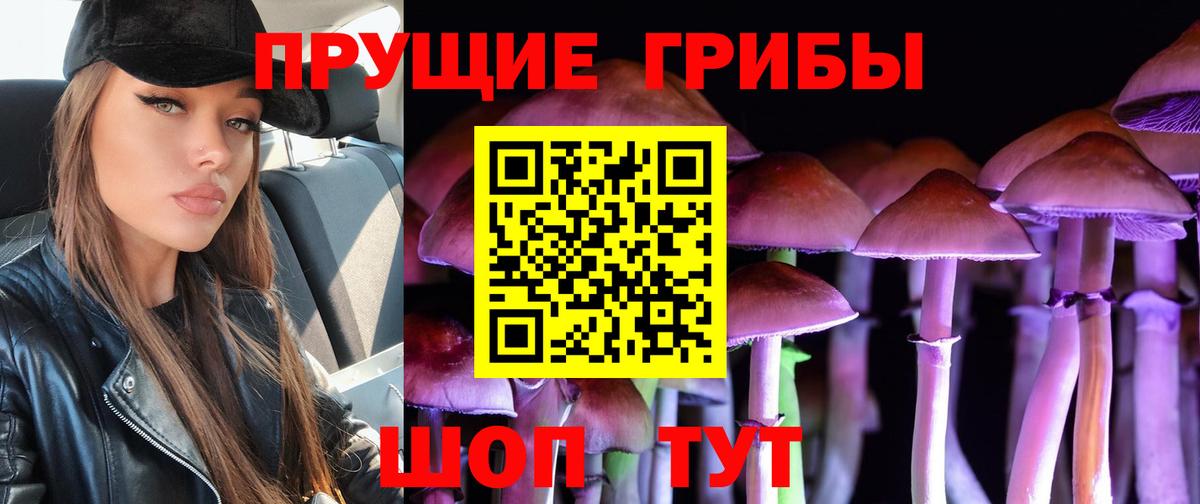 Псков  Псилоцибиновые грибы Cubensis  Вход с VPN 