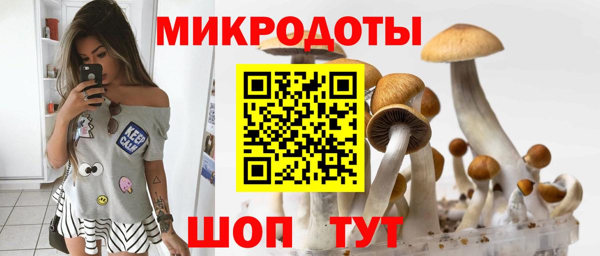 Галлюциногенные грибы MAGIC MUSHROOMS Псков